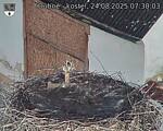 Capi_Dubne_20250824_073003.jpg