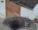 Capi_Dubne_20250824_090005.jpg