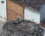 Capi_Dubne_20250824_125003.jpg