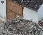 Capi_Dubne_20250824_131502.jpg