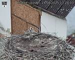 Capi_Dubne_20250824_132003.jpg