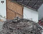 Capi_Dubne_20250824_133002.jpg