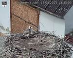 Capi_Dubne_20250824_133503.jpg