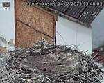 Capi_Dubne_20250824_134003.jpg