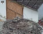 Capi_Dubne_20250824_134503.jpg