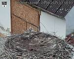 Capi_Dubne_20250824_135003.jpg