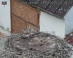 Capi_Dubne_20250824_141003.jpg