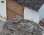 Capi_Dubne_20250824_141503.jpg