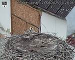 Capi_Dubne_20250824_142004.jpg