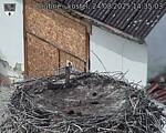 Capi_Dubne_20250824_143504.jpg