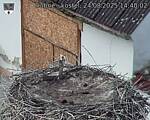 Capi_Dubne_20250824_144002.jpg