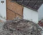 Capi_Dubne_20250824_151003.jpg