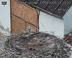 Capi_Dubne_20250824_151503.jpg