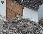 Capi_Dubne_20250824_152505.jpg