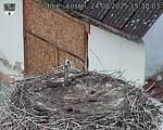 Capi_Dubne_20250824_153003.jpg