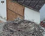 Capi_Dubne_20250824_153503.jpg