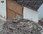 Capi_Dubne_20250824_154503.jpg