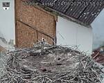 Capi_Dubne_20250824_155002.jpg