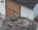 Capi_Dubne_20250824_155504.jpg