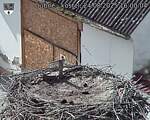 Capi_Dubne_20250824_160004.jpg