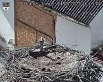 Capi_Dubne_20250824_160504.jpg