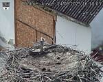 Capi_Dubne_20250824_161003.jpg