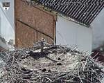Capi_Dubne_20250824_161503.jpg