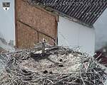 Capi_Dubne_20250824_163003.jpg