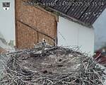 Capi_Dubne_20250824_163504.jpg