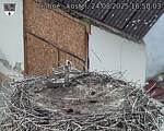 Capi_Dubne_20250824_165003.jpg