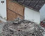 Capi_Dubne_20250824_165504.jpg