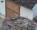 Capi_Dubne_20250824_170003.jpg