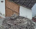 Capi_Dubne_20250824_171003.jpg