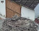 Capi_Dubne_20250824_171504.jpg