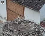 Capi_Dubne_20250824_172003.jpg
