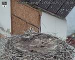 Capi_Dubne_20250824_173004.jpg