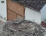 Capi_Dubne_20250824_173504.jpg