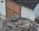 Capi_Dubne_20250824_180004.jpg