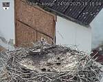 Capi_Dubne_20250824_181004.jpg
