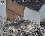 Capi_Dubne_20250824_182003.jpg