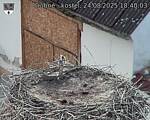 Capi_Dubne_20250824_184003.jpg