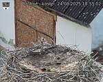 Capi_Dubne_20250824_185503.jpg