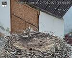 Capi_Dubne_20250824_190503.jpg
