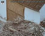 Capi_Dubne_20250824_194503.jpg