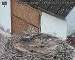 Capi_Dubne_20250824_195004.jpg