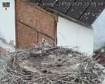 Capi_Dubne_20250824_200004.jpg