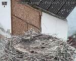 Capi_Dubne_20250824_201004.jpg
