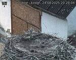 Capi_Dubne_20250824_202004.jpg