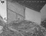 Capi_Dubne_20250824_203003.jpg