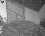 Capi_Dubne_20250824_203503.jpg